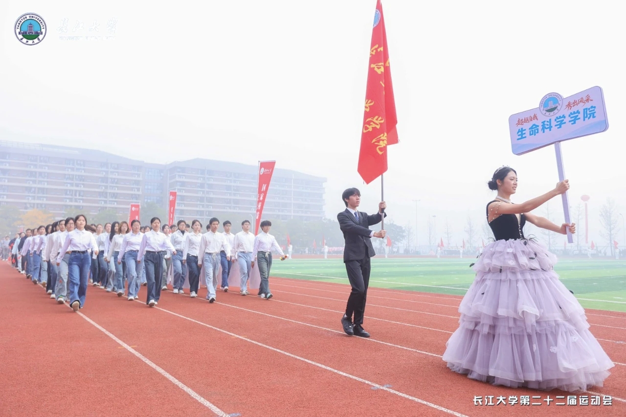 赛场展英姿，拼搏铸辉煌——韩国av
在学校运动会中绽放风采